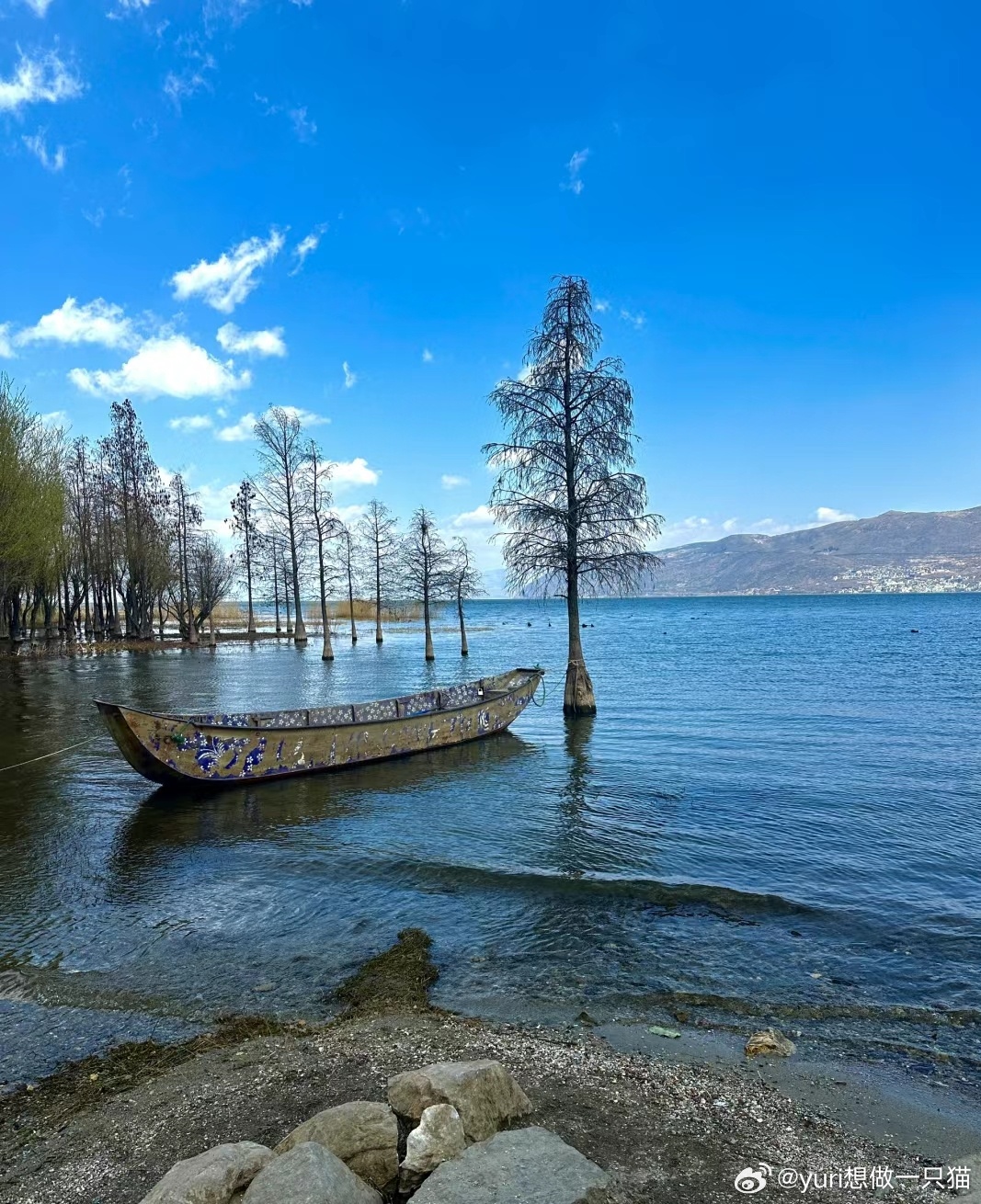 洱海最新动态，生态与旅游和谐共进，共筑美好未来