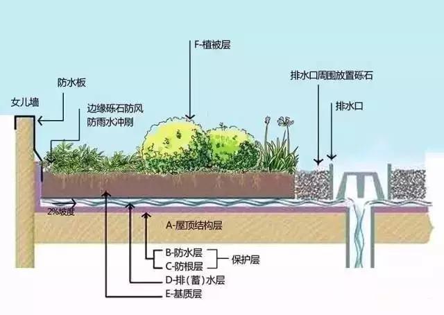 最新迷你世界种树攻略指南