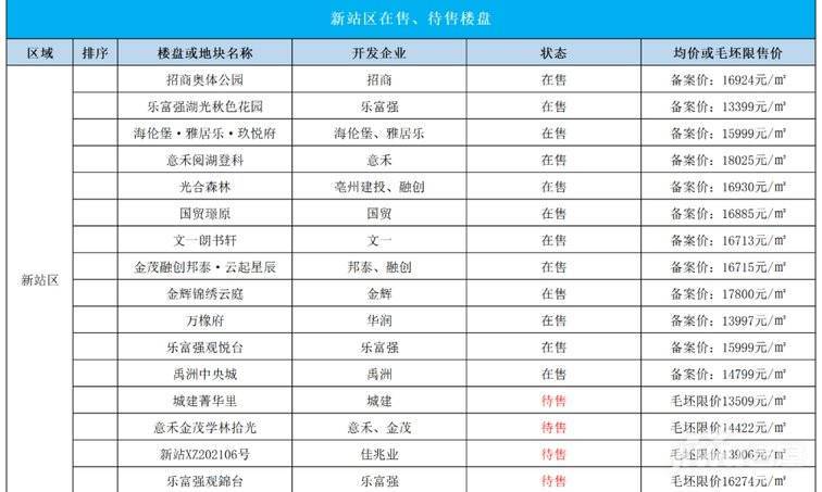 合肥新站区房价走势分析，最新动态、趋势预测与前景展望