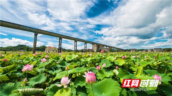 湘潭花石重塑古镇魅力，文旅新地标惊艳亮相