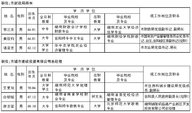 岳阳干部考察公示深化公开透明，推动地方治理现代化进展