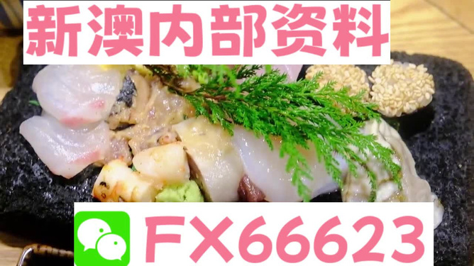 新澳精准资料免费提供最新版,动态词语解释落实_策略版73.47