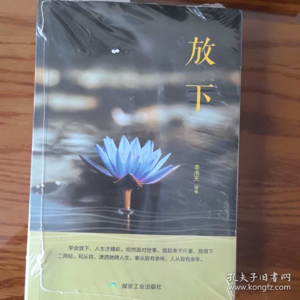 疯子三三最新小说放下，深度解读与感悟启示