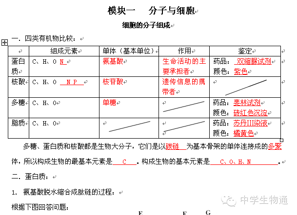 4949正版免费资料大全水果,实地验证策略方案_经典版16.363