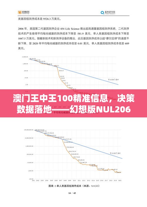 2024年澳门王中王100,数据驱动执行方案_精英版201.123