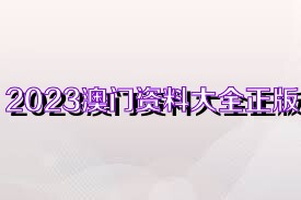 2023澳门资料大全正版资料免费,决策资料解释落实_入门版2.362