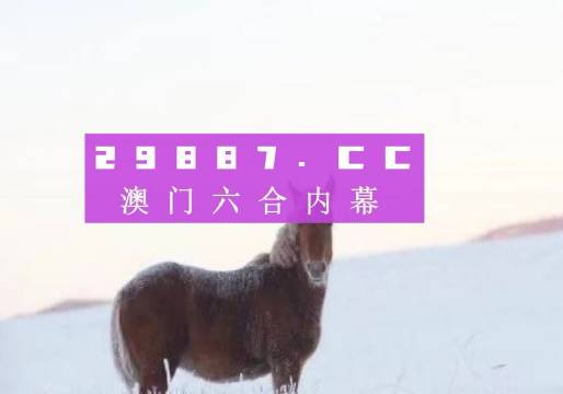 494949澳门今晚开什么,数据支持执行方案_PT48.37