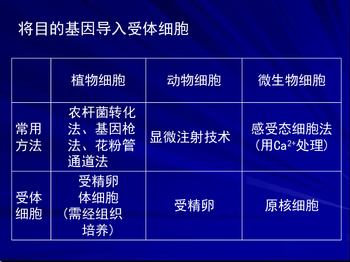 2024新澳最精准资料,科技成语分析落实_游戏版256.183