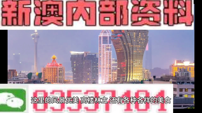 2024新澳正版免费资料的特点,经典解析说明_精装款28.819