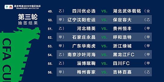 2024年新澳精准资料免费提供网站,国产化作答解释落实_交互版55.333