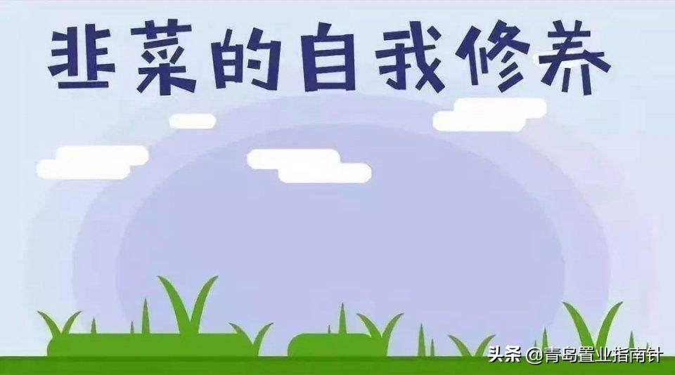 辽阳最新楼盘概览，城市繁荣的新篇章