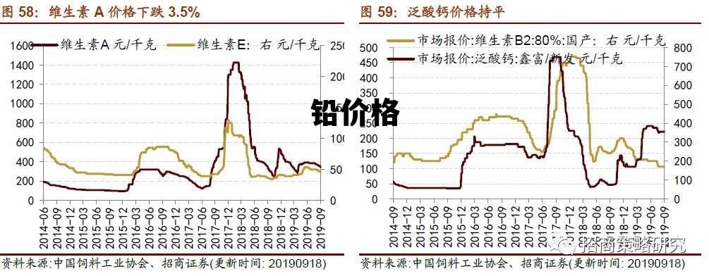 心应为你像死一样沉寂