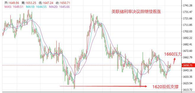今日黄金走势最新分析，市场动向与趋势预测