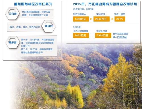 湖北省国有林场改革最新消息深度解读与分析