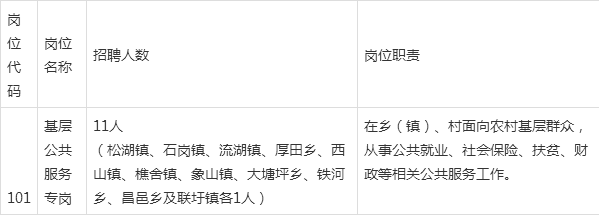 新建县招聘网最新招聘动态深度解析及求职指南