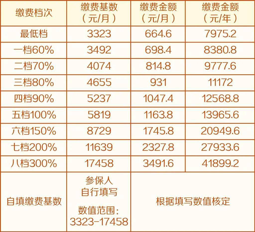 社保缴费新方式，便捷、高效、人性化的变革之路